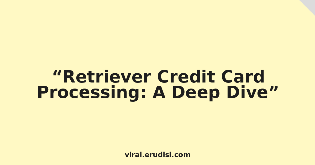 Retriever Credit Card Processing: A Deep Dive